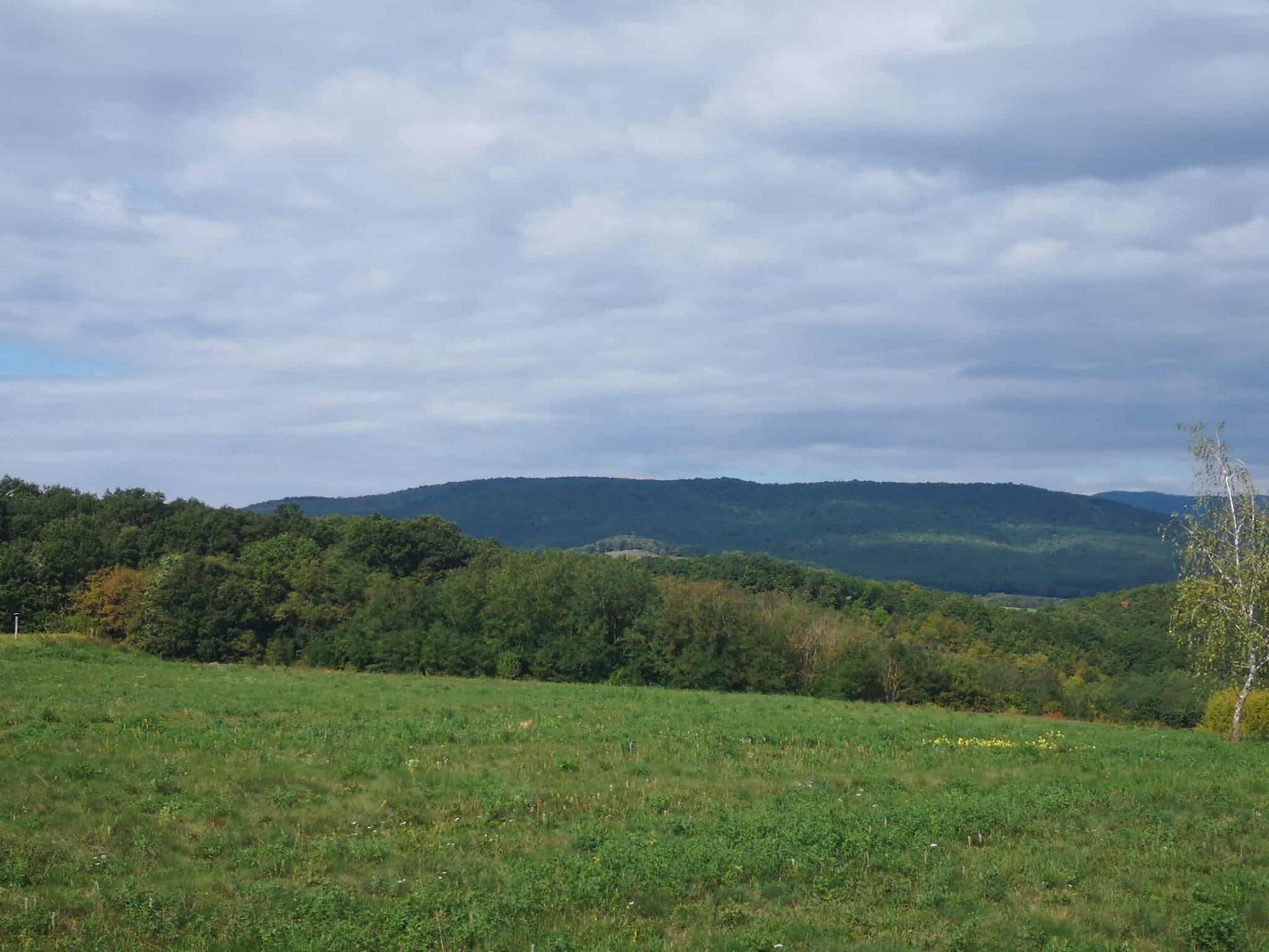 Grundstück in Komitat Pest 3