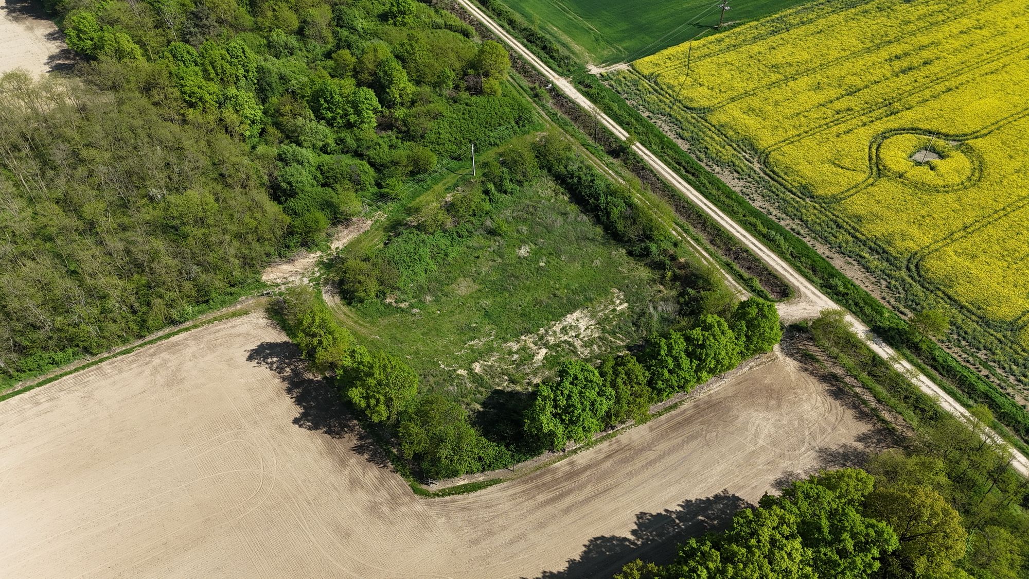 Agrarisch vastgoed in Provincie Vas