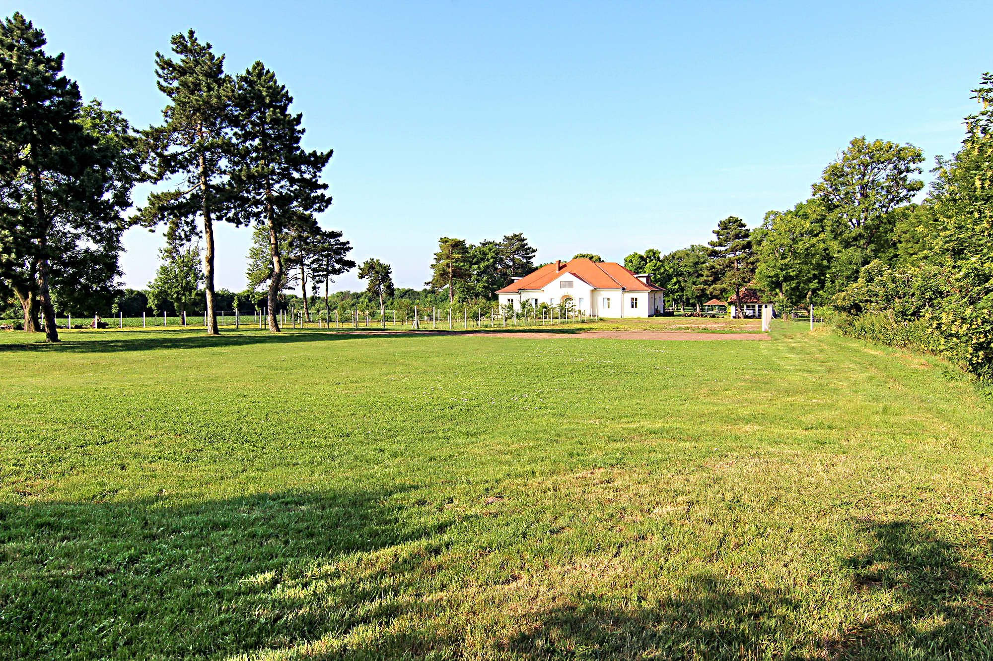 Gerenoveerd landhuis op een zeer groot erf met fruitbomen en een akker 2