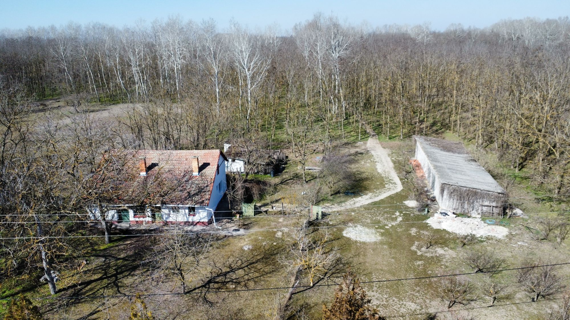 Bauernhof in Komitat Csongrád 2