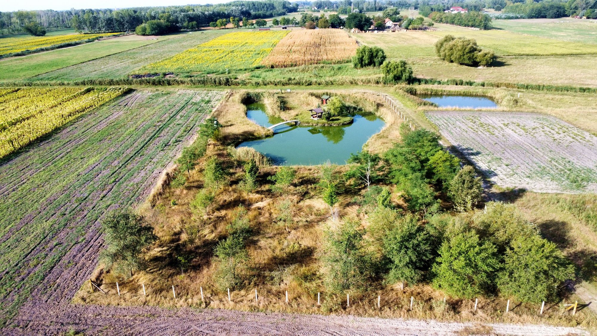 Fischteich zu verkaufen 2