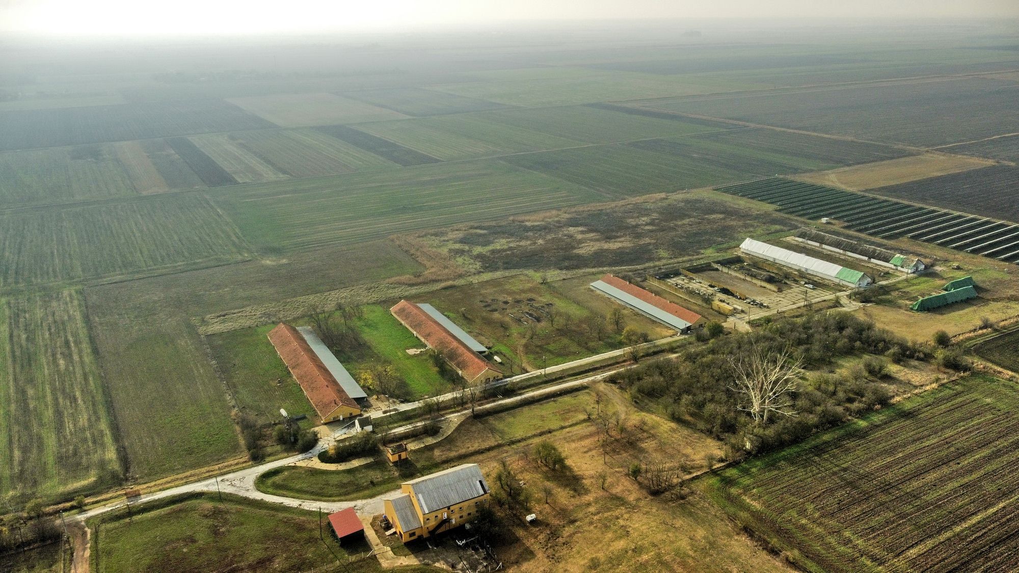 Agrarimmobilie in Hódmezővásárhely