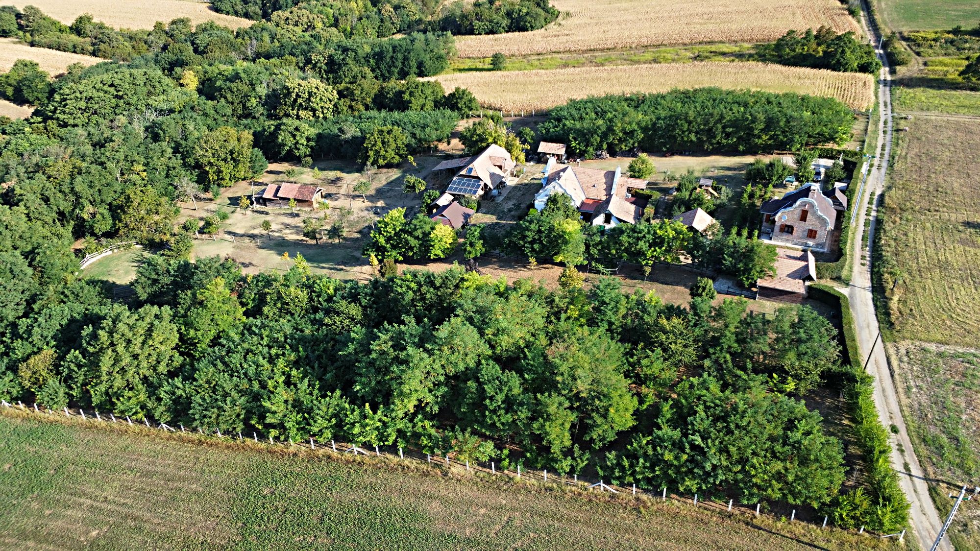 Wohnhaus in Komitat Somogy 3
