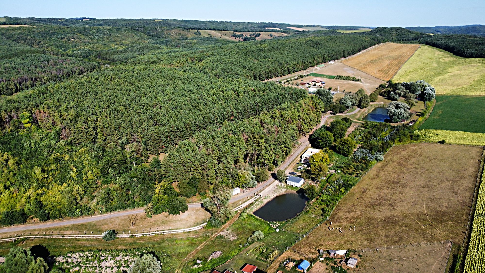 Bauernhof in Komitat Pest 2