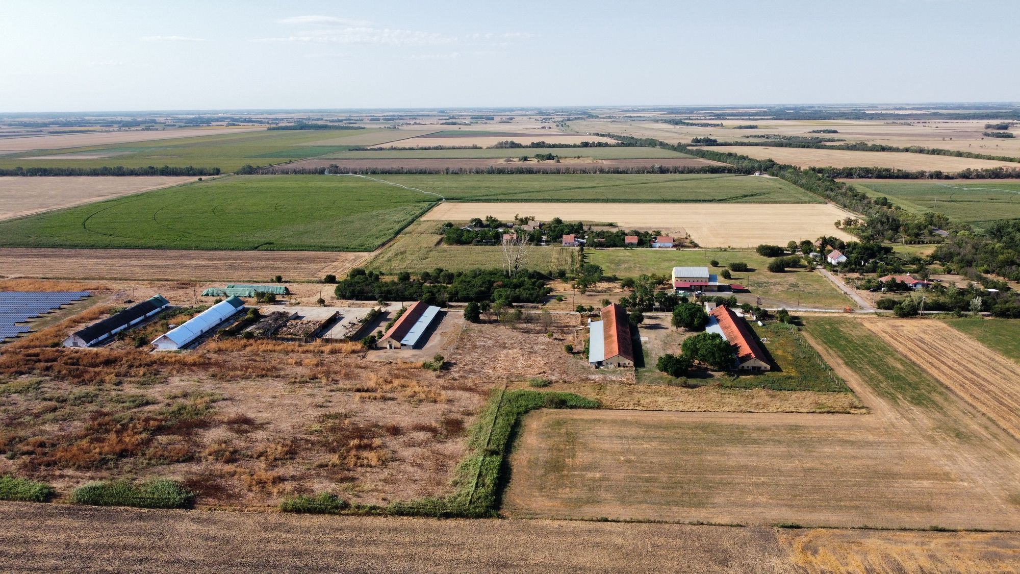 Agrarimmobilie in Hódmezővásárhely 2