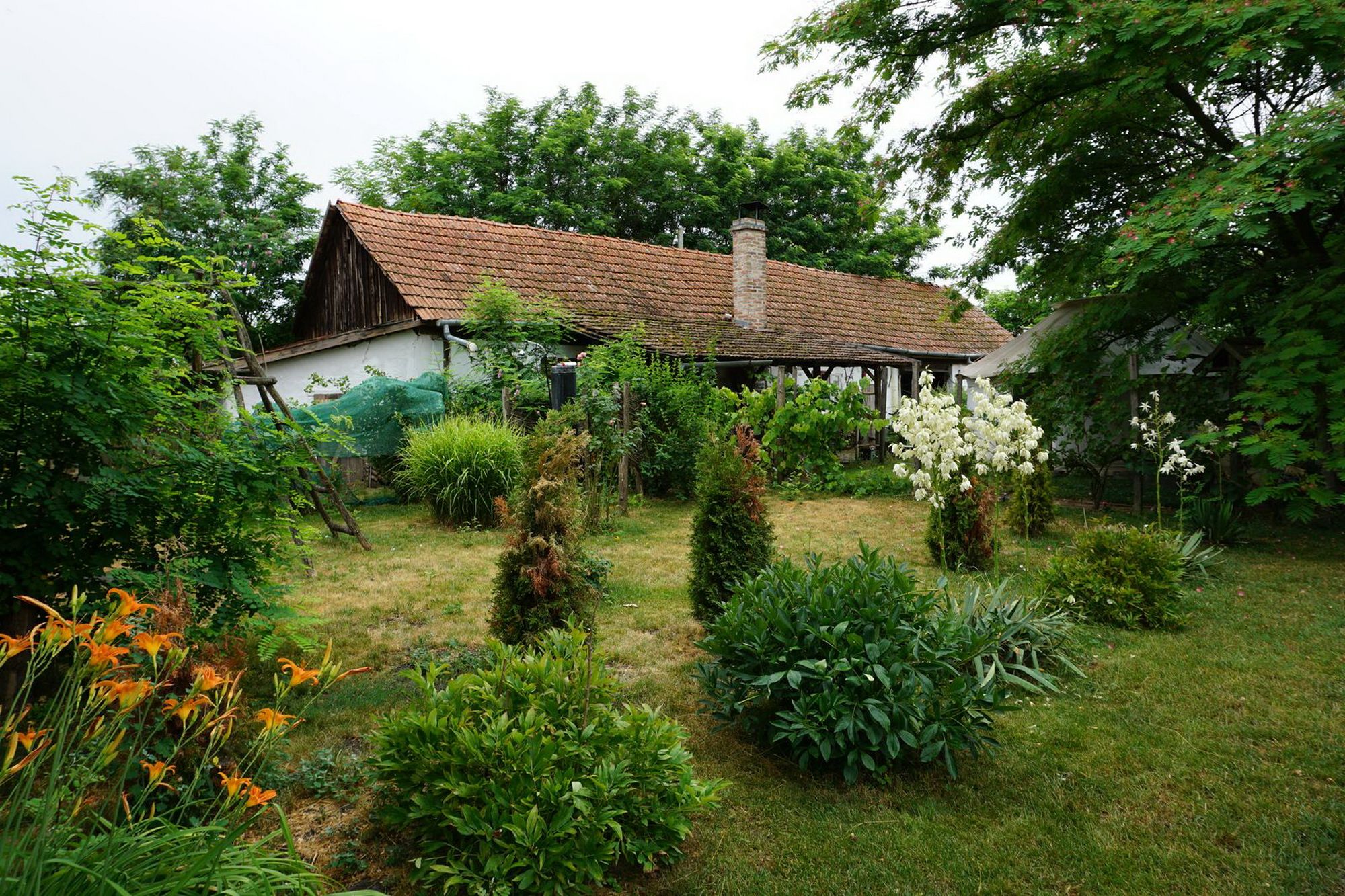 Ferme à Gyula 3