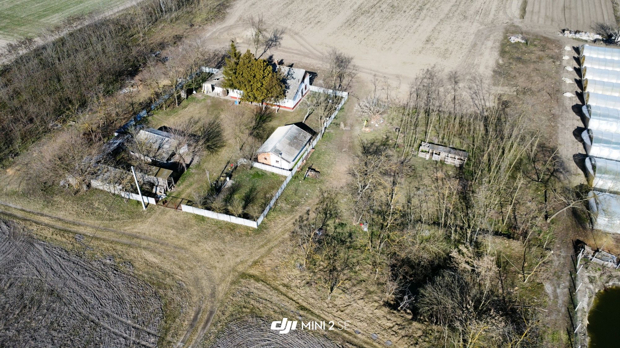 Bauernhof in Komitat Csongrád 2