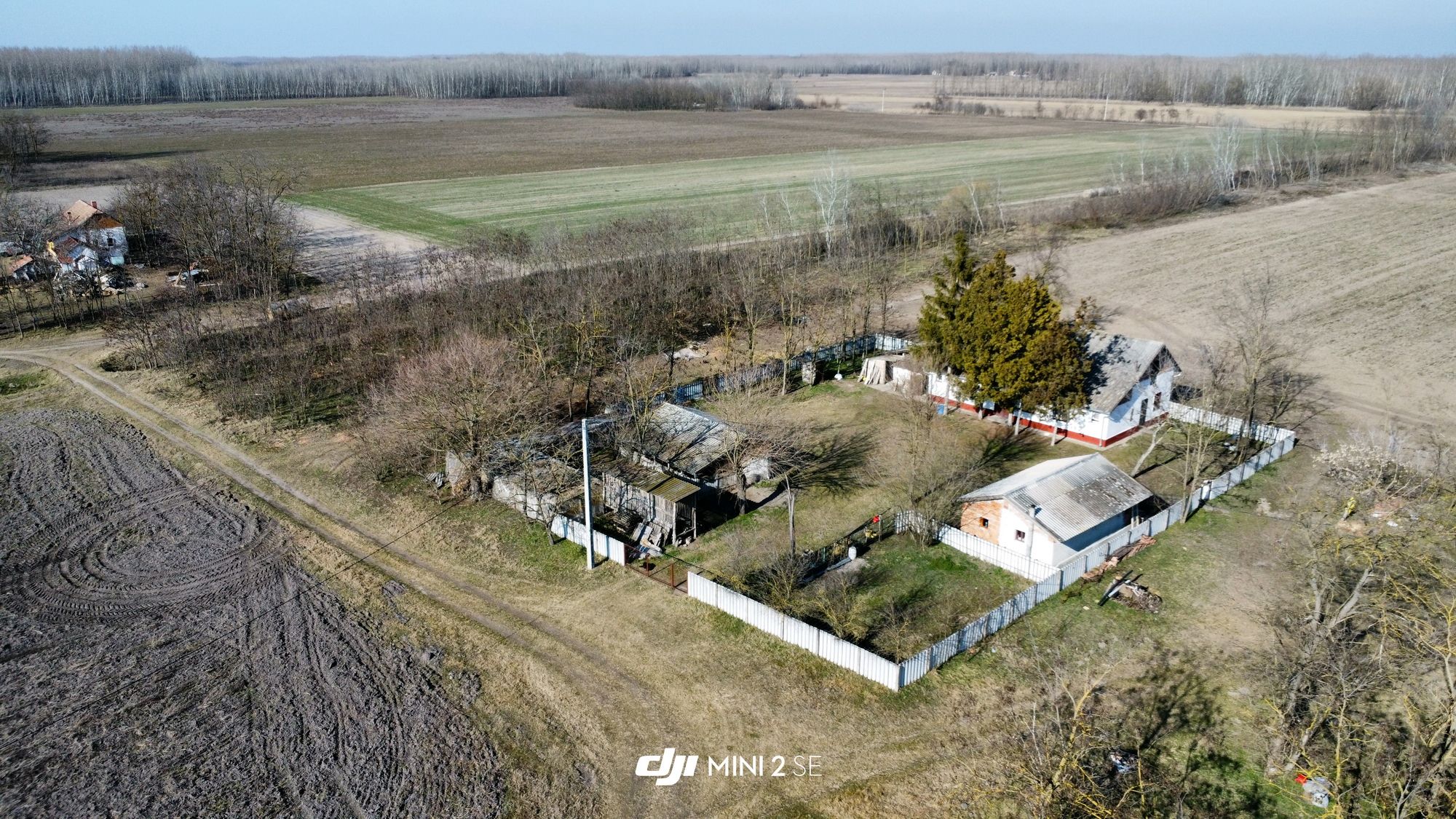 Bauernhof in Komitat Csongrád 3