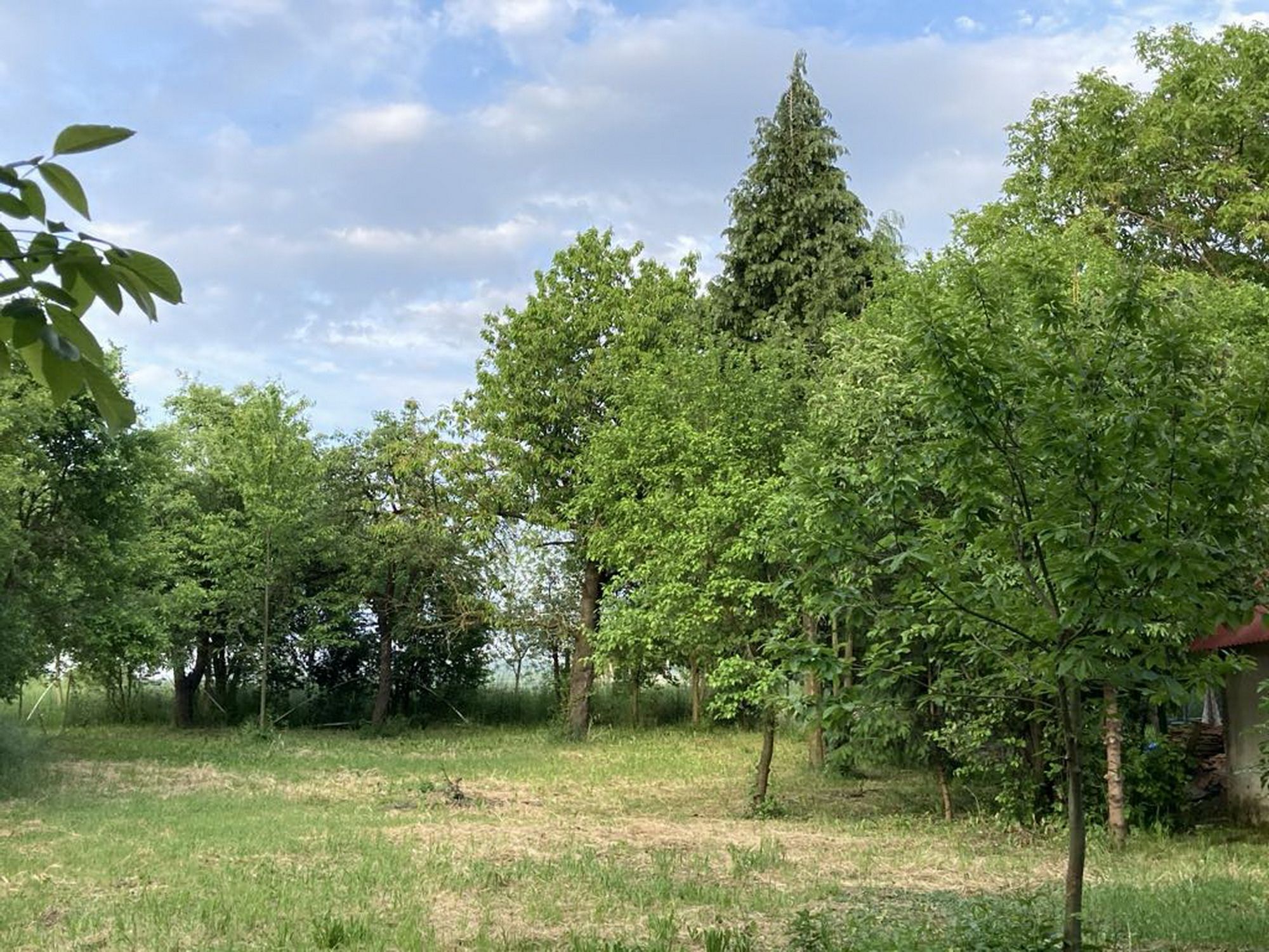 Maison à Karmacs 2