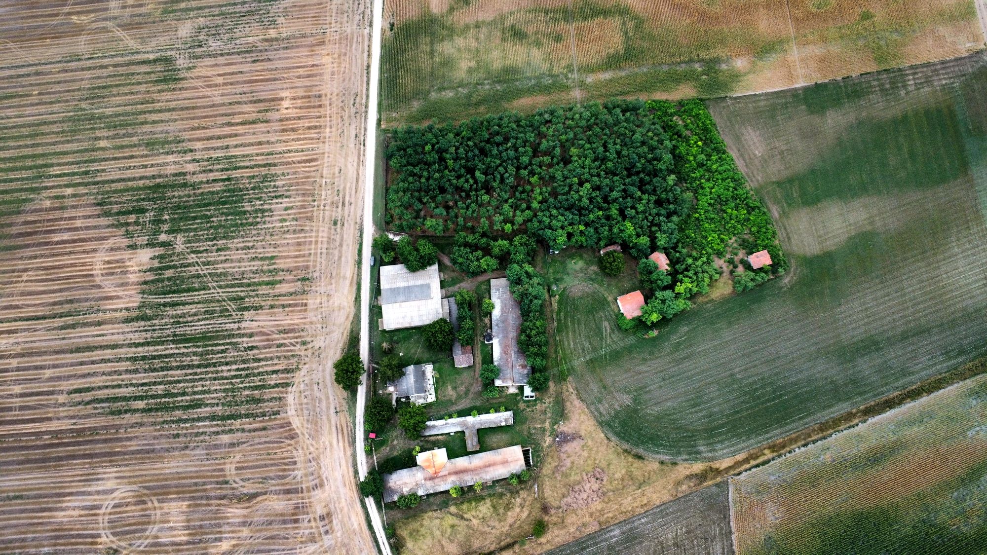 Agrarimmobilie in Bugac Felsőmonostor 383