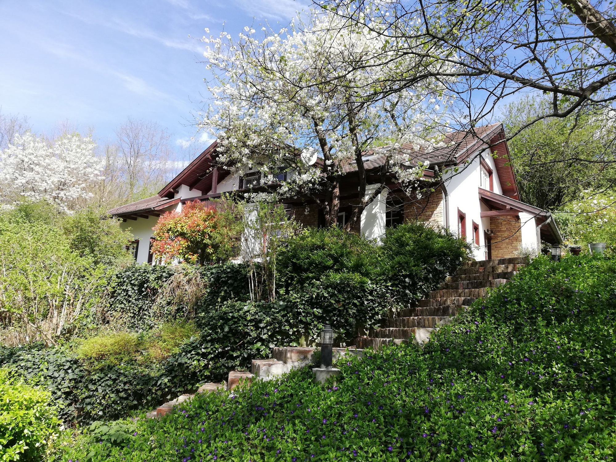 Wohnhaus in Komitat Pest 3