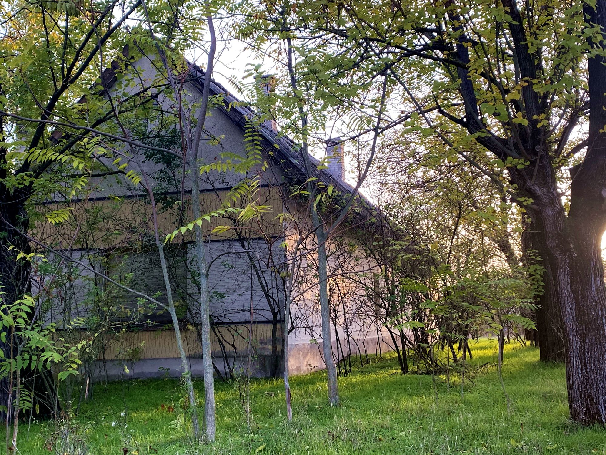 Bauernhof in Komitat Bács-Kiskun 2