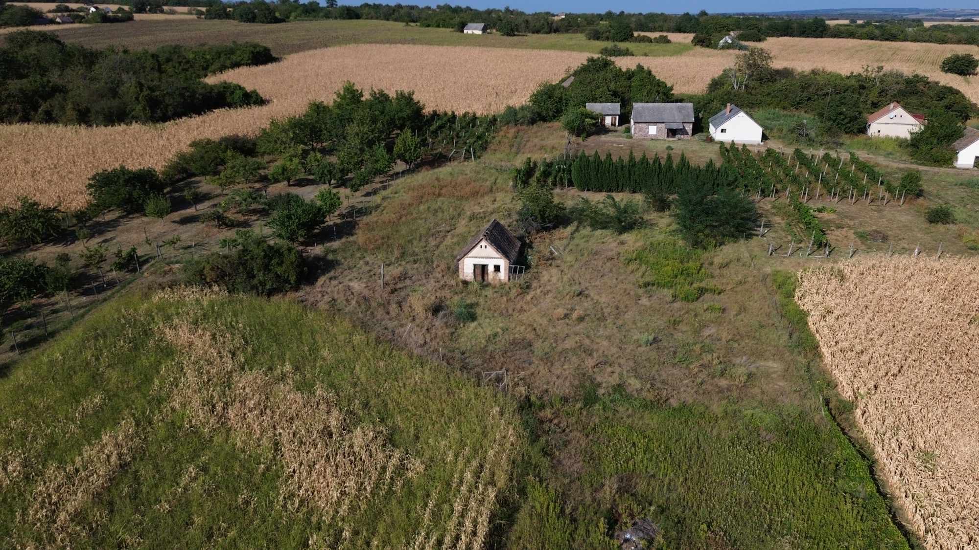 Bauernhof in Komitat Baranya 2