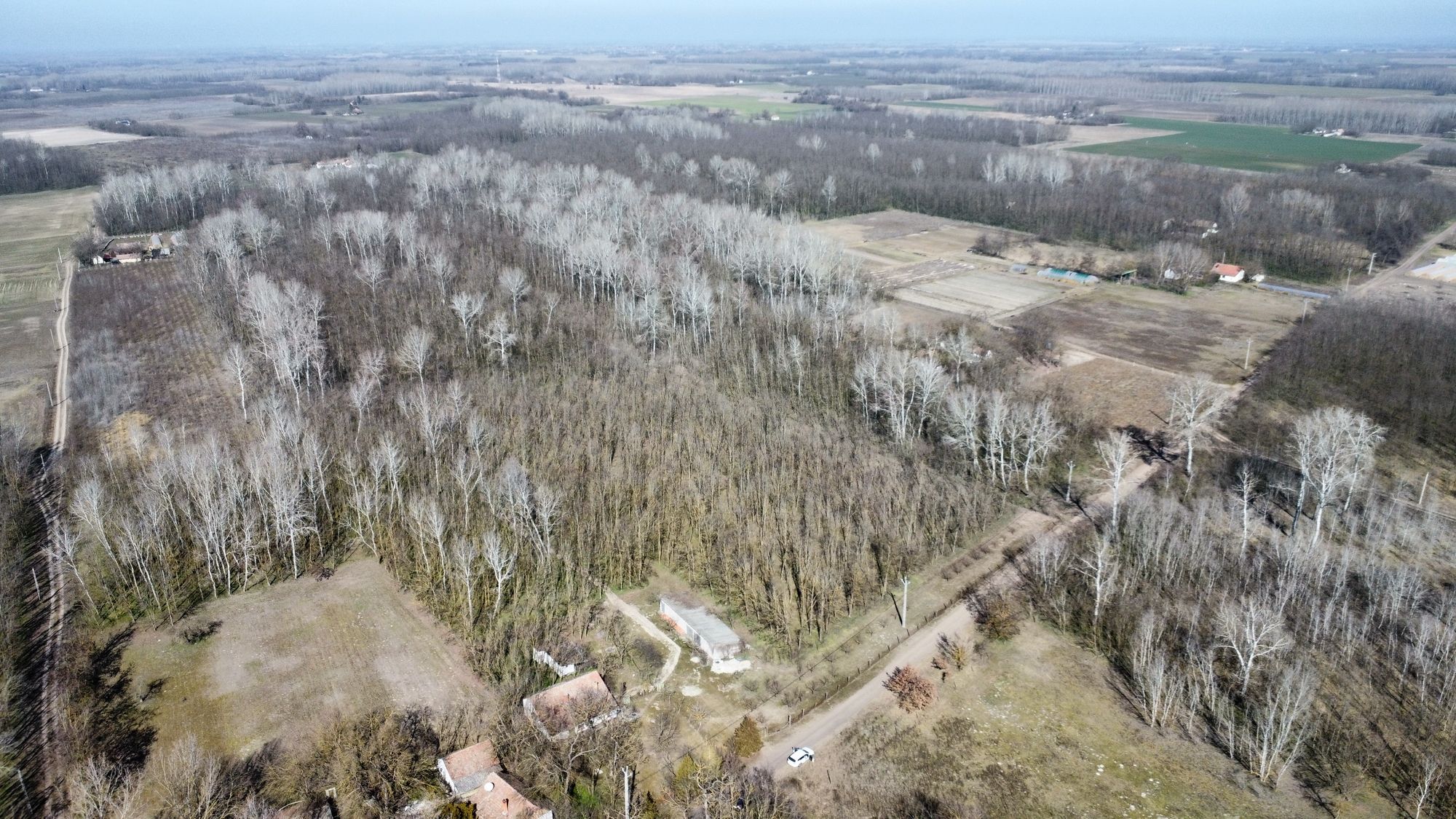 Bauernhof in Komitat Csongrád