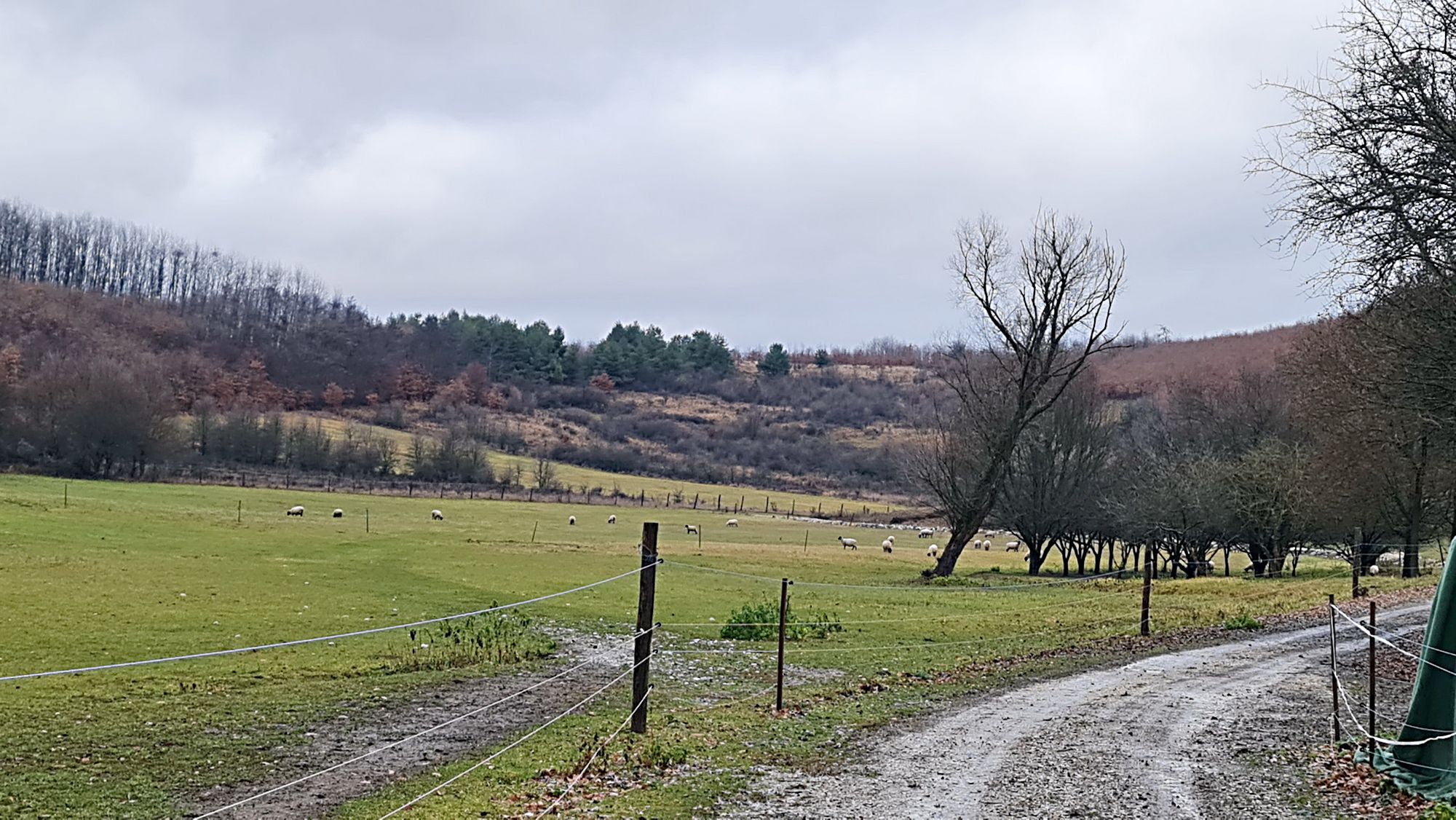 Bauernhof in Komitat Heves 3