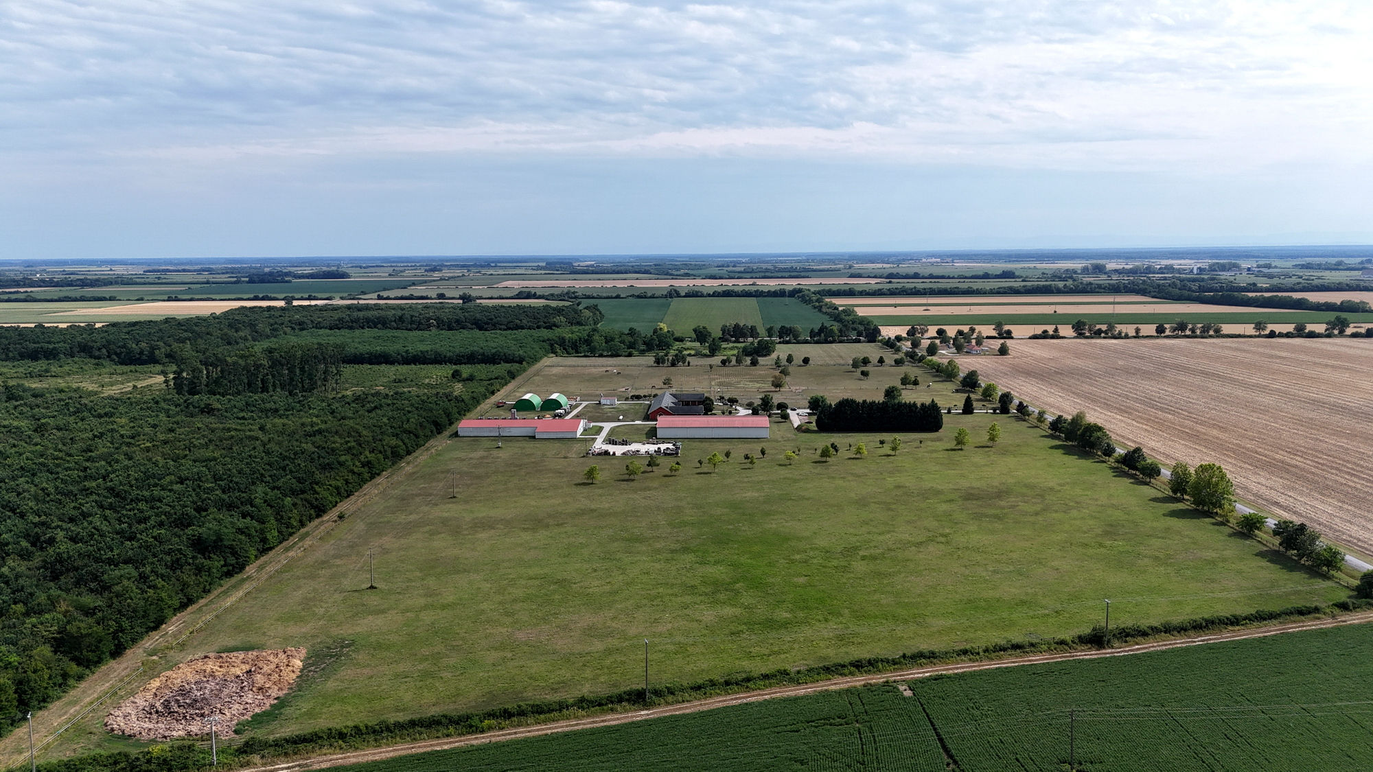Modern paardencomplex met overdekte rijhal en actief houtbedrijf nabij Szigetvár 2