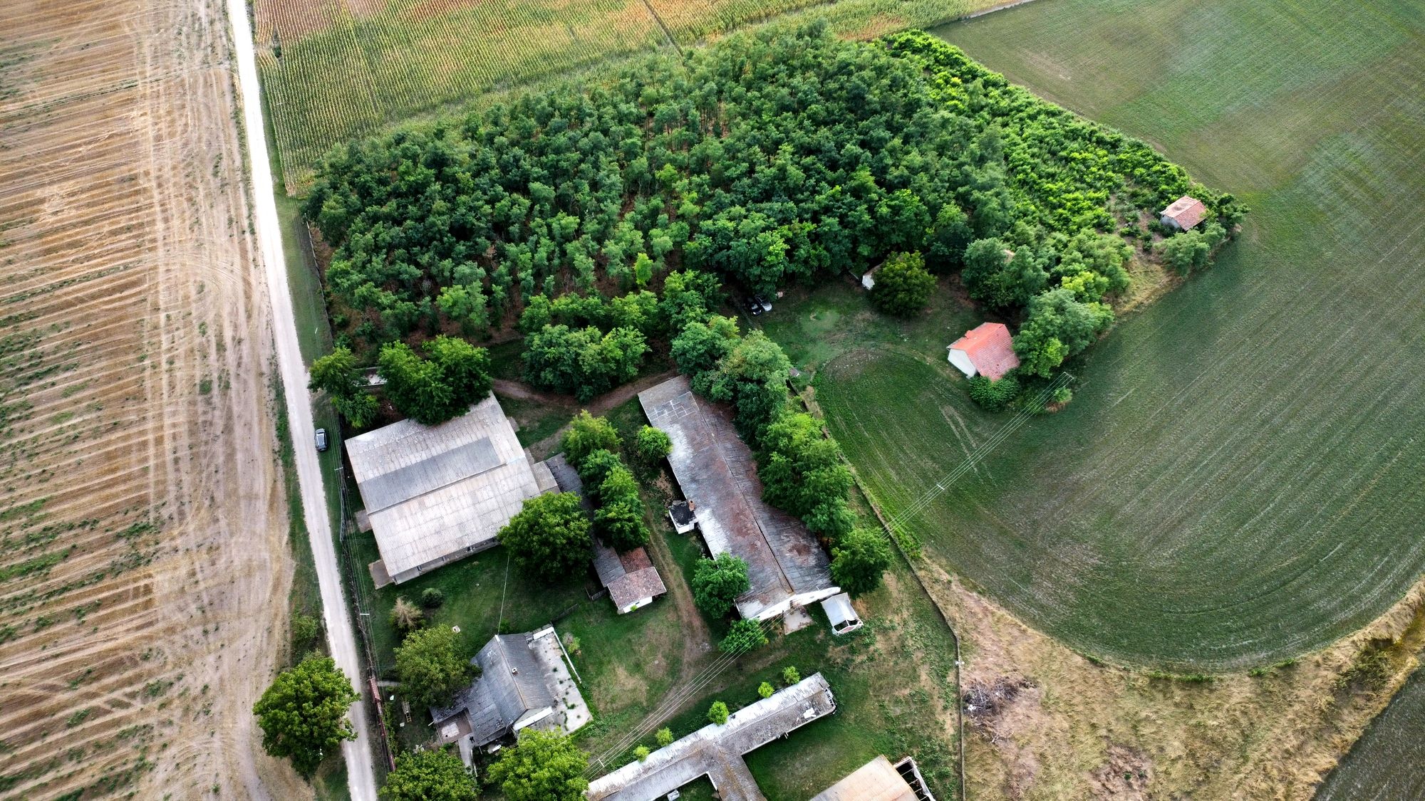 Agrarimmobilie in Bugac Felsőmonostor 383 3