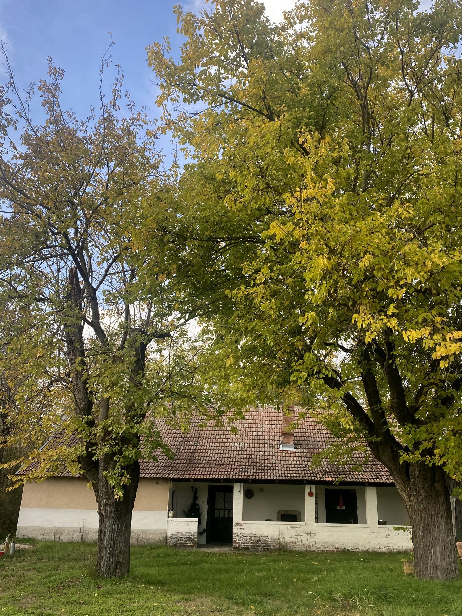 Bauernhof in Komitat Bács-Kiskun