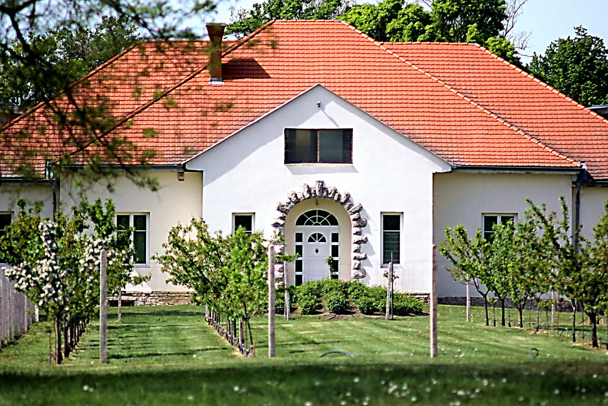 Gerenoveerd landhuis op een zeer groot erf met fruitbomen en een akker 3