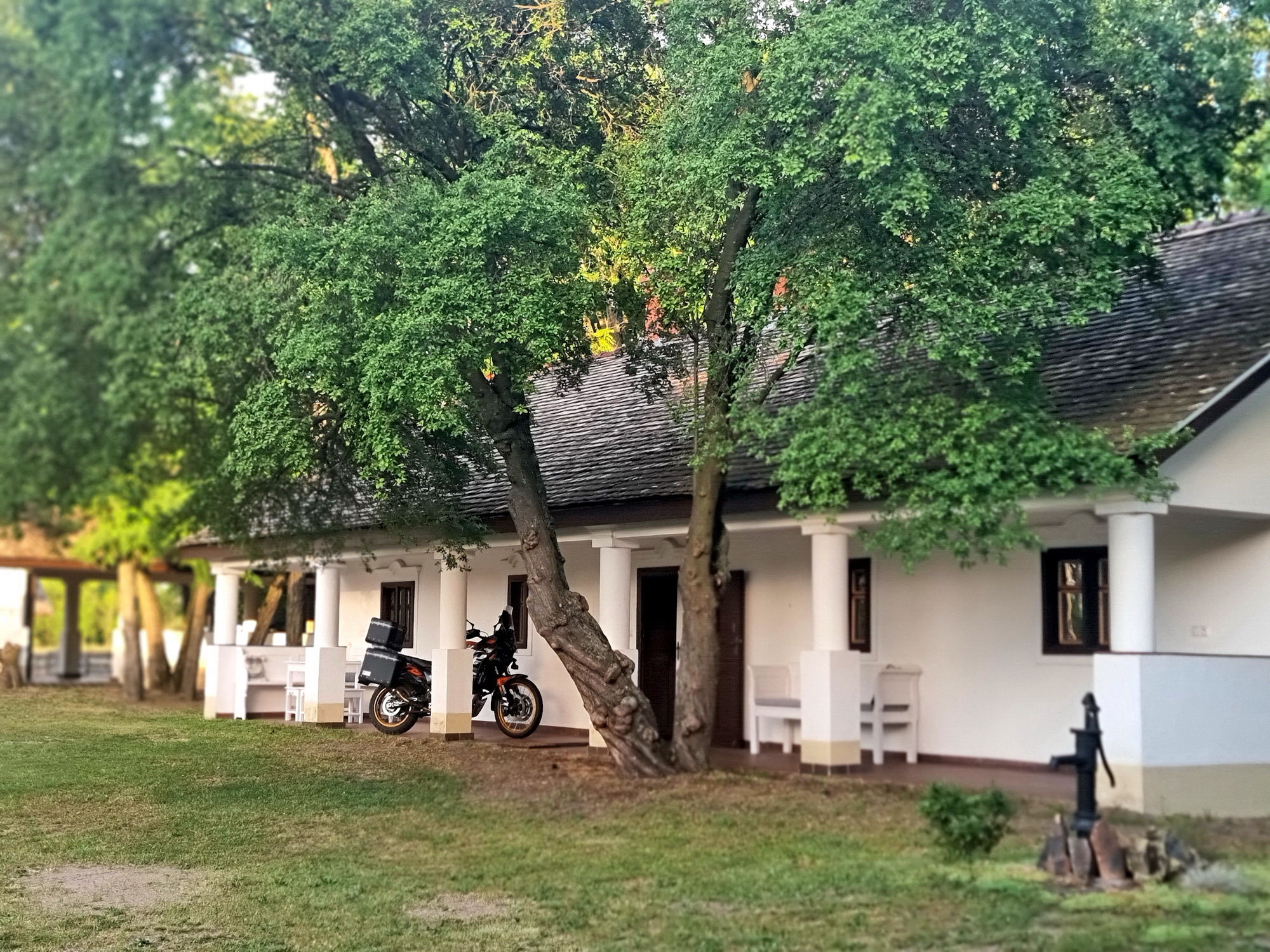 Boerderij in Provincie Bács-Kiskun 3