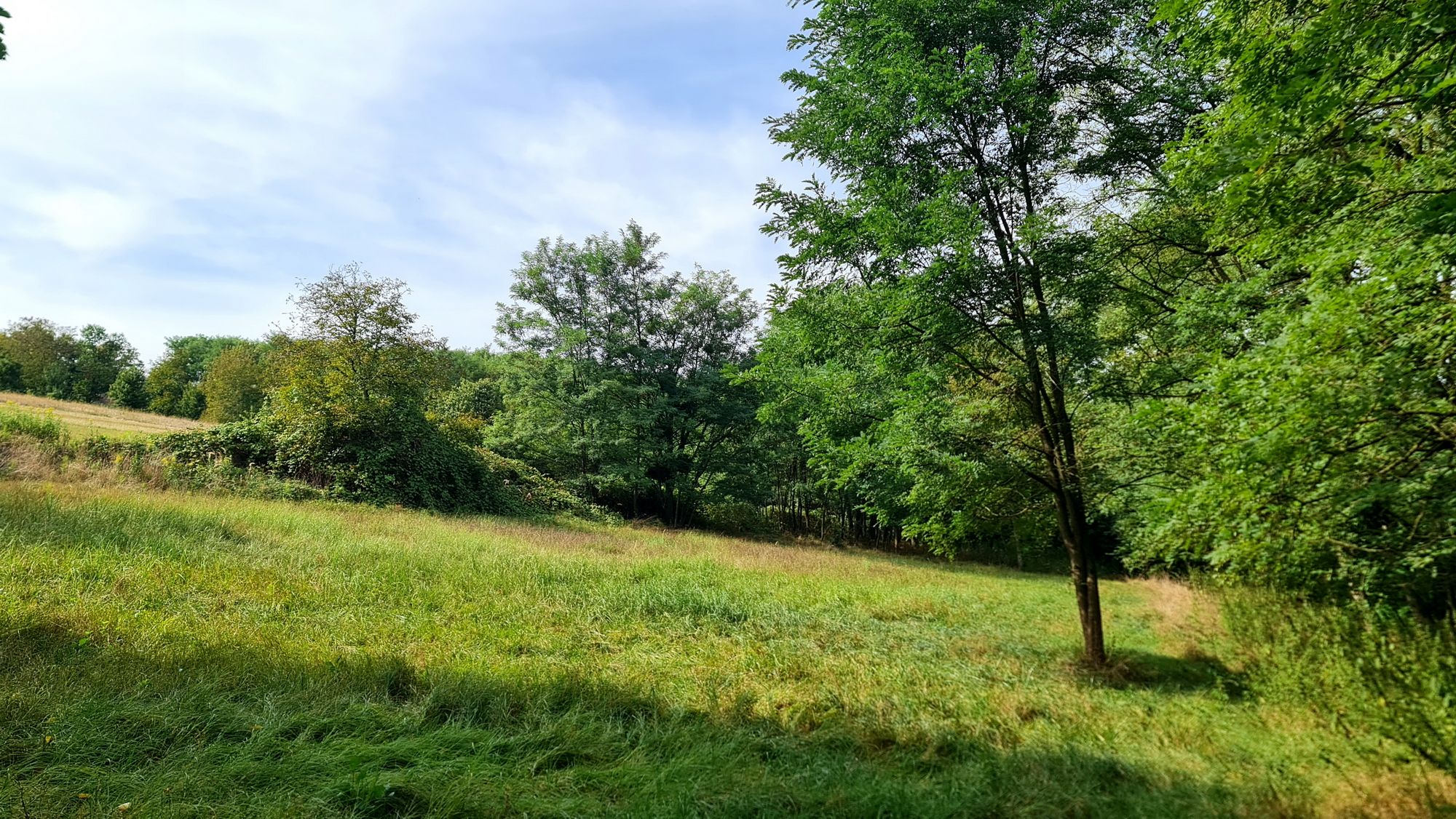 Bauernhof in Komitat Zala 3