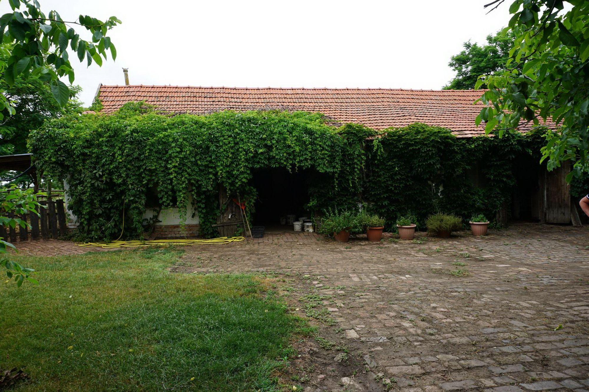 Ferme à Gyula 2