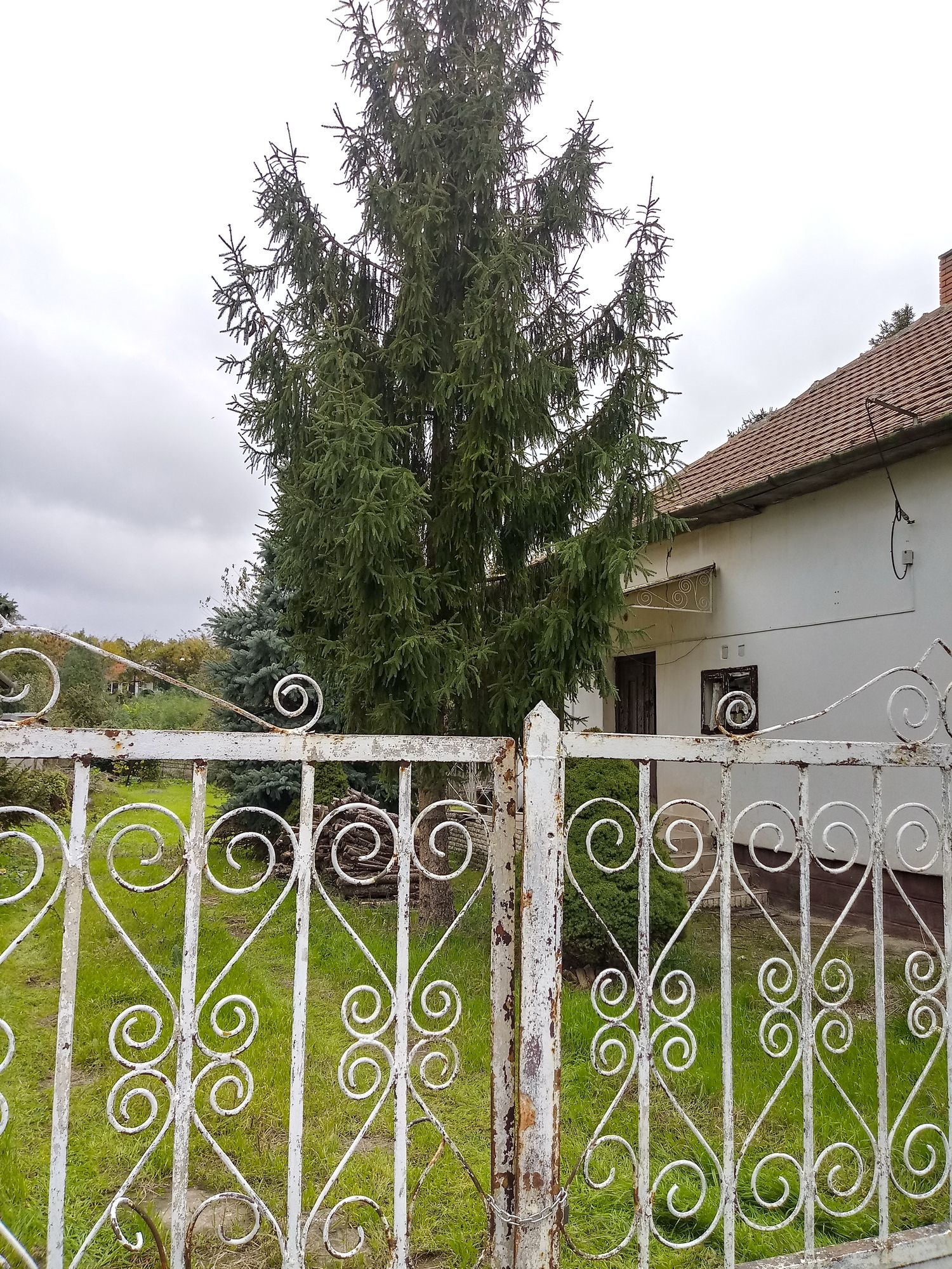 Grundstück in Komitat Jász-Nagykun-Szolnok 2