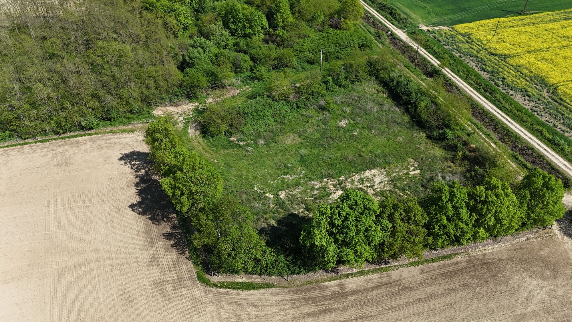 Agrarisch vastgoed in Provincie Vas 2