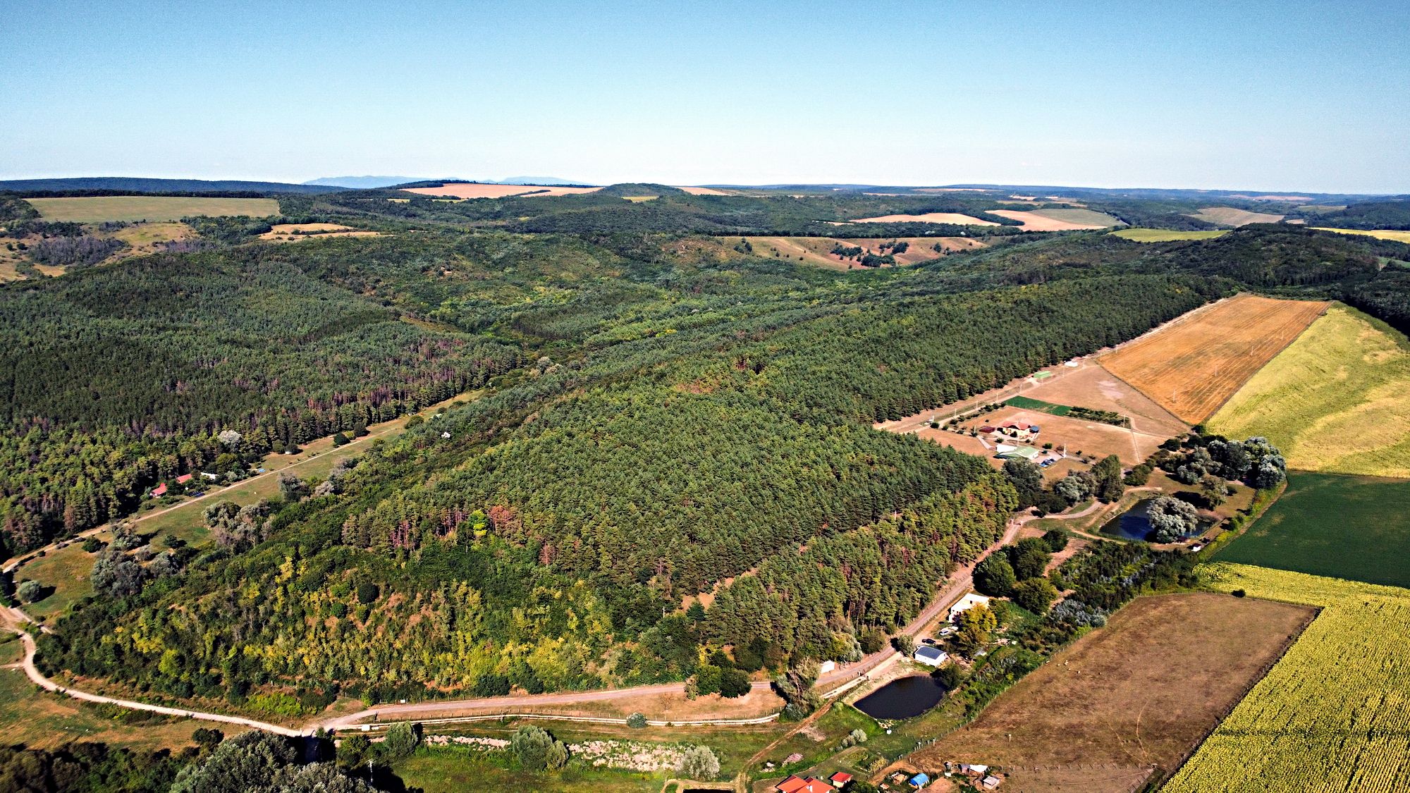 Bauernhof in Komitat Pest