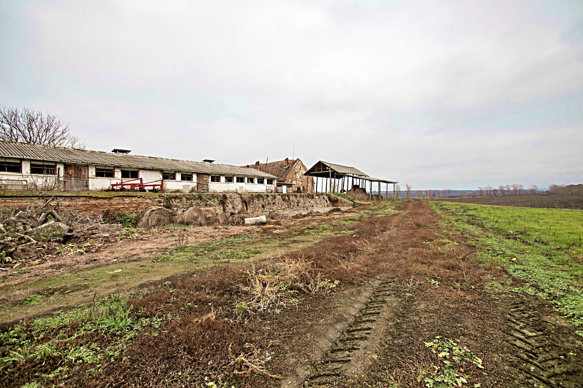 Agrarimmobilie in Komitat Tolna 2