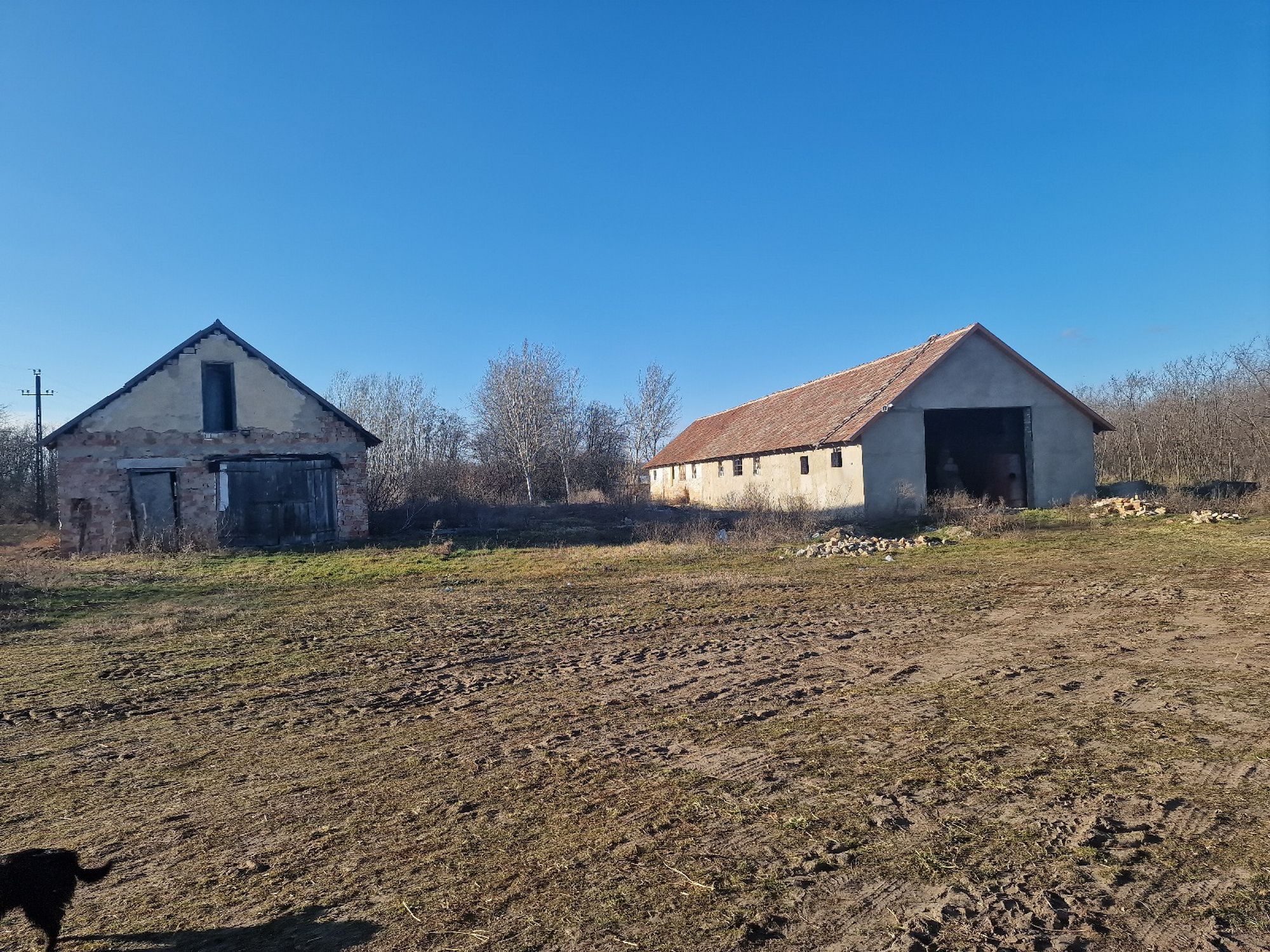 Agrarimmobilie in Komitat Pest 3